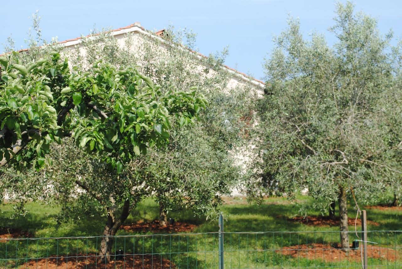 Holiday Home Ana Πούλα Εξωτερικό φωτογραφία